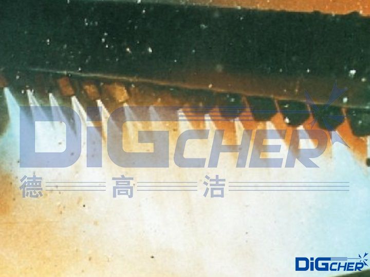 �߉�ˮ���Ó֬